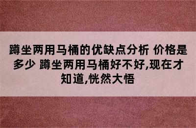 蹲坐两用马桶的优缺点分析 价格是多少 蹲坐两用马桶好不好,现在才知道,恍然大悟